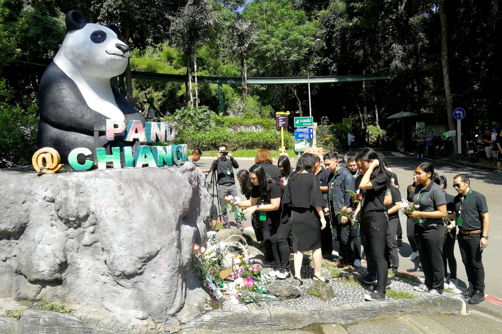 Zoo workers lay flowers at a Panda statue days after the 19-year-old panda Chuang Chuang died at the Chiang Mai zoo, Chiang Mai, Thailand, September 18, 2019. Dailynews/ via REUTERS