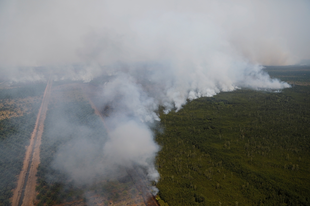 FILE PHOTO: Smoke covers trees during a forest fire next to a palm plantation in Palangka Raya, Central Kalimantan province, Indonesia, September 14, 2019. REUTERS/Willy Kurniawan/File Photo