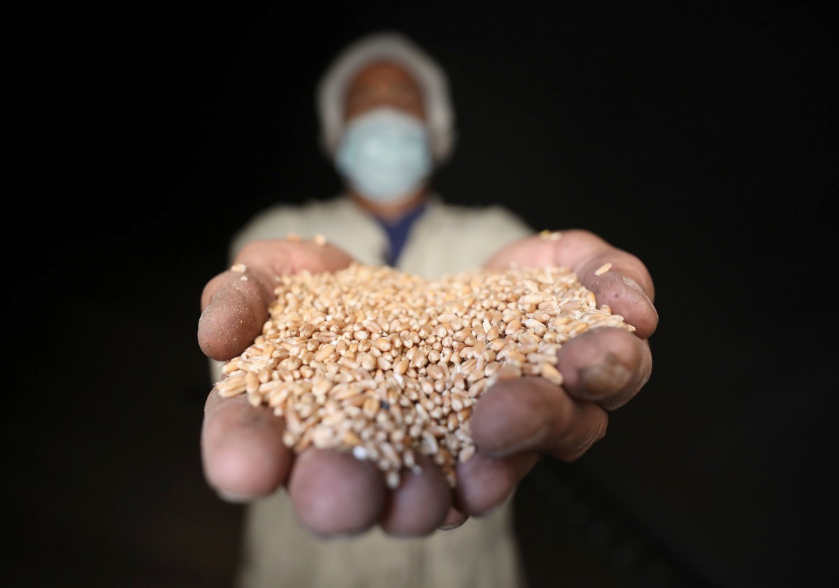 A man holds wheat at the grain silos in Cairo, October 4, 2017. Reuters / Mohamed Abd El Ghany