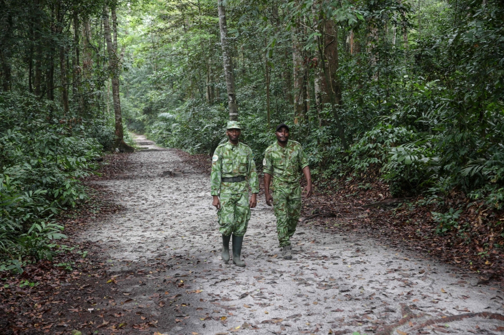 Two forest rangers walk on a road in the Akanda forest, a national park a few kilometers from the city centre of the capital, Libreville on September 27, 2019.  AFP / Steve Jordan 