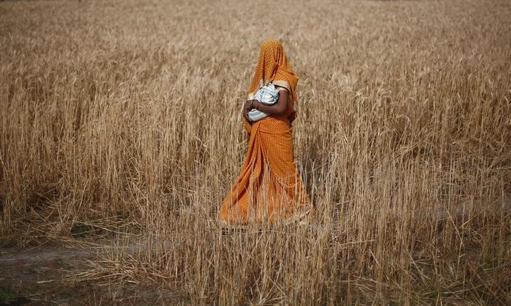 FILE PHOTO: A woman carries her baby as she walks through a wheat field in Amroha district in Uttar Pradesh, April 17, 2014. Reuters/Adnan Abidi