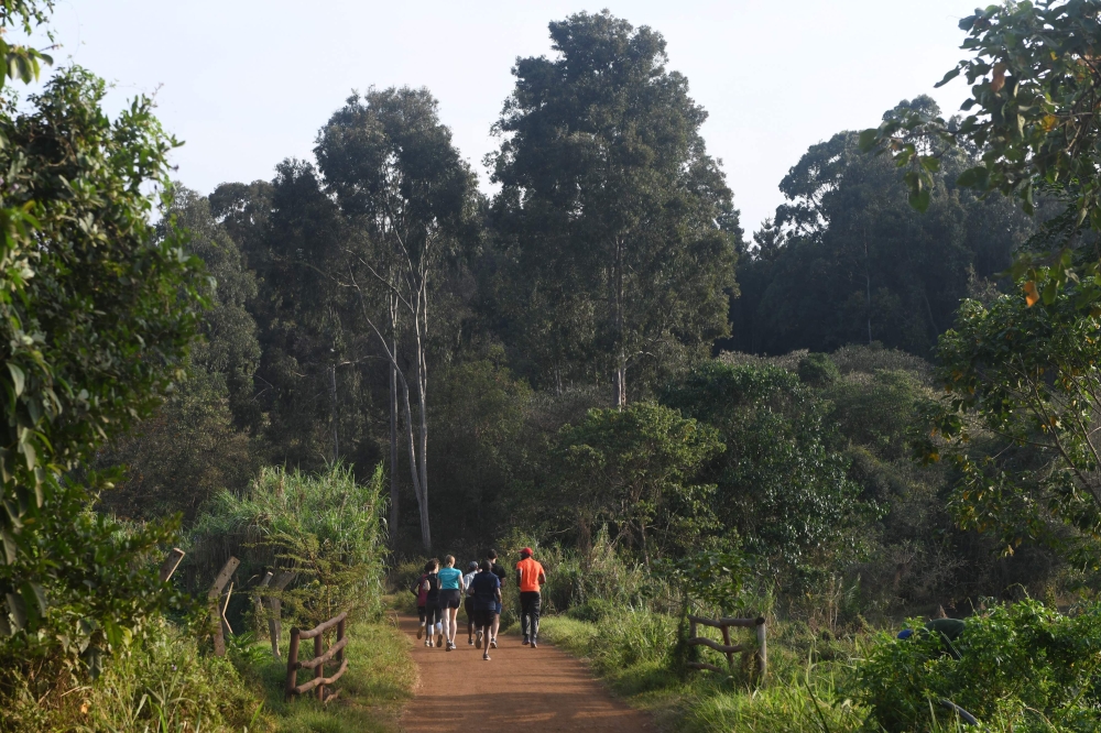 People run in Karura forest, Nairobi on September 17, 2019.  AFP / Simon Maina 