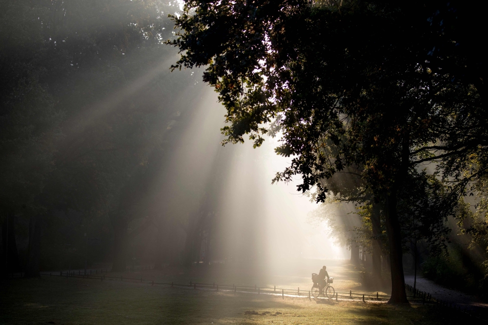 The sun cuts through the morning fog as a commuter on a bicycle makes his way through the Tiergarten park in Berlin on October 10, 2018. AFP / Odd Andersen