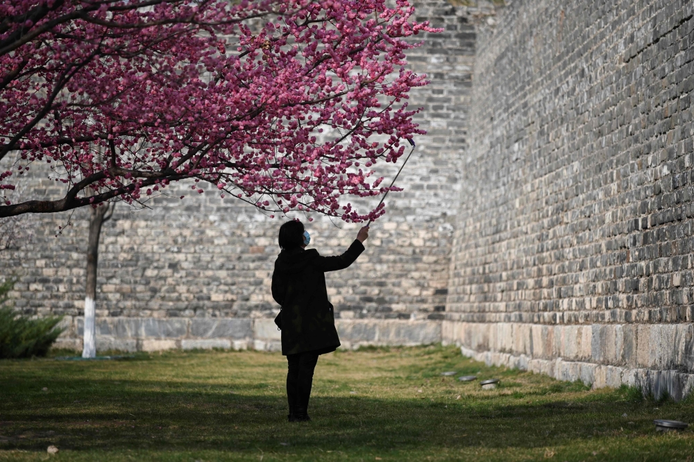 A woman wearing a face mask as a preventive measure against the COVID-19 coronavirus takes a selfie at a park in Beijing on March 20, 2020. / AFP / WANG ZHAO
