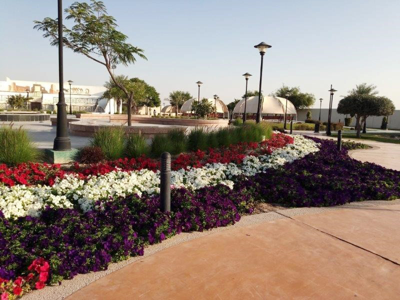 Flower plants and greenery at a public park in Umm Salal Municipality. 