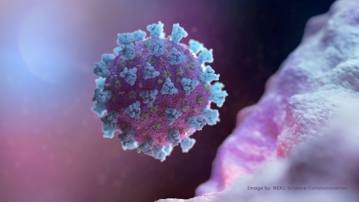 FILE PHOTO: A computer image created by Nexu Science Communication together with Trinity College in Dublin, shows a model structurally representative of a betacoronavirus which is the type of virus linked to COVID-19, better known as the coronavirus linke