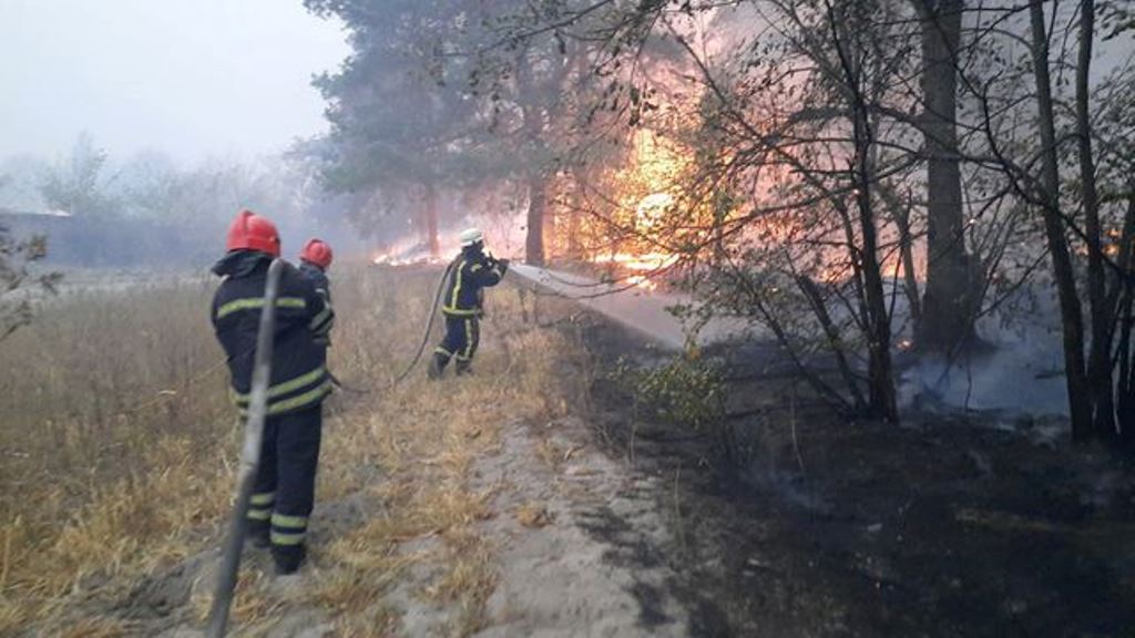 Firefighters work at the site of a forest fire in Luhansk region, Ukraine in this handout picture released October 1, 2020. State Emergency Service Of Ukraine/Handout via REUTERS