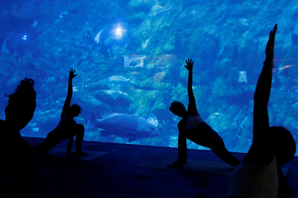 People take part in a yoga class at Ocean Park's aquarium, as a new activity to attract visitors amid a drop in tourists due to the coronavirus disease (COVID-19) outbreak, in Hong Kong, China October 8, 2020. REUTERS/Tyrone Siu