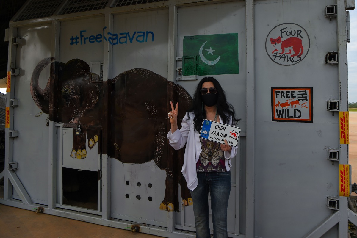 US pop singer Cher poses in front of the crate containing Kaavan the Asian elephant Kaavan upon his arrival in Cambodia from Pakistan at Siem Reap International Airport in Siem Reap on November 30, 2020. / AFP / TANG CHHIN Sothy
