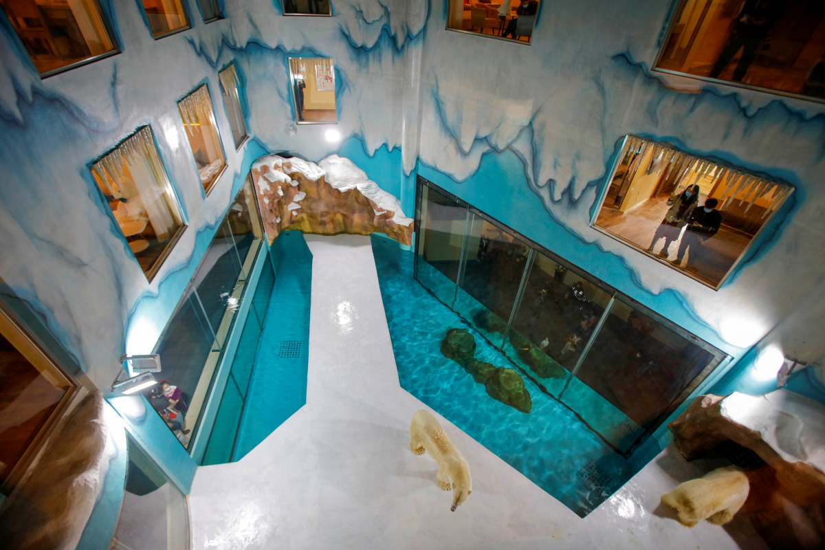 Visitors look at polar bears at an enclosure inside a hotel at a newly-opened polarland-themed park in Harbin, capital of northeast China's Heilongjiang province March 12, 2021. Picture taken March 12, 2021. cnsphoto via REUTERS ATTENTION EDITORS - THIS I