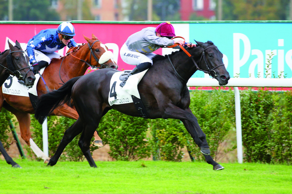 Al Shaqab Racing-owned Mellow heads towards the finish line.