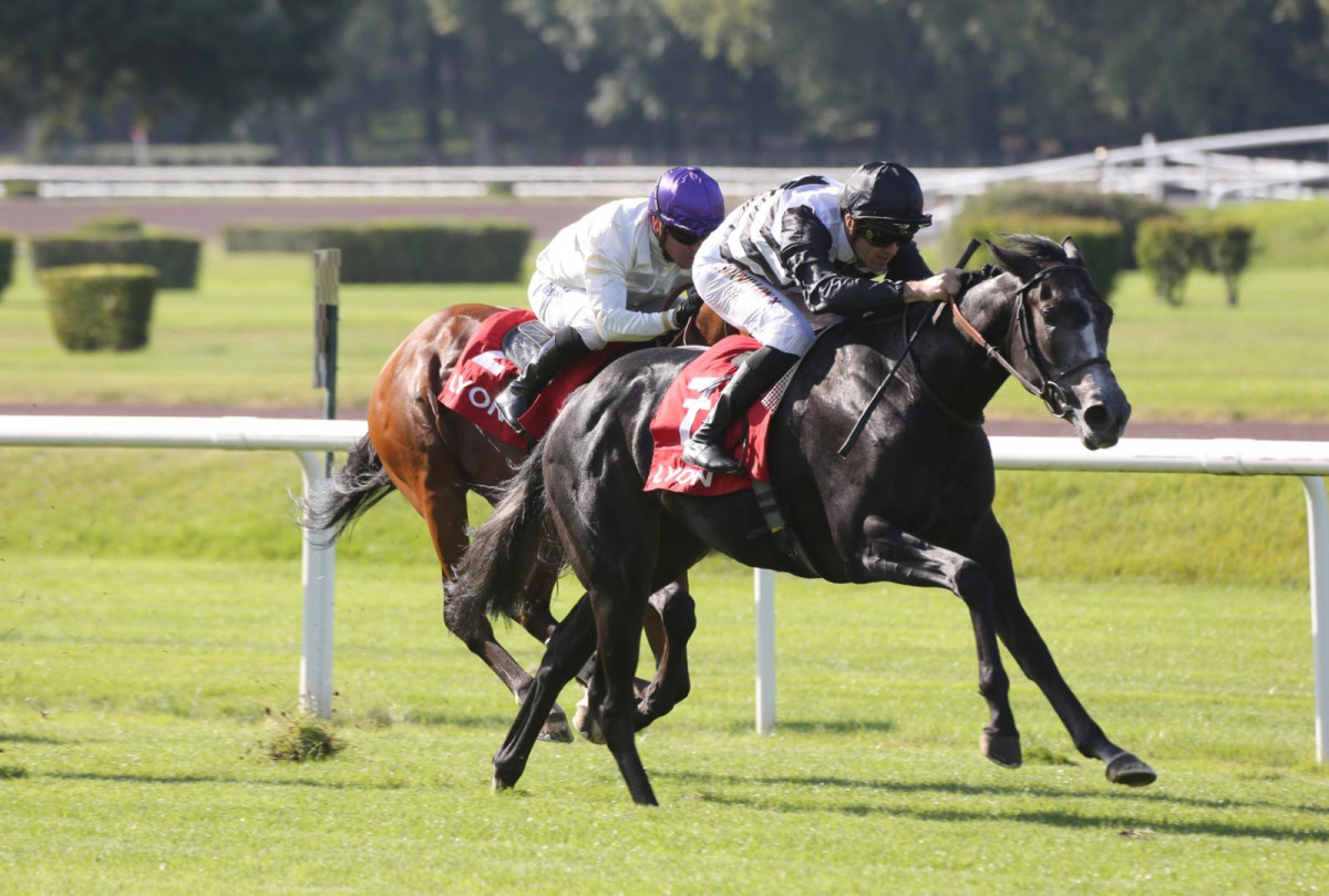 Christophe Soumillion guides Mangoustine to win. PIC: HENRI DURAND