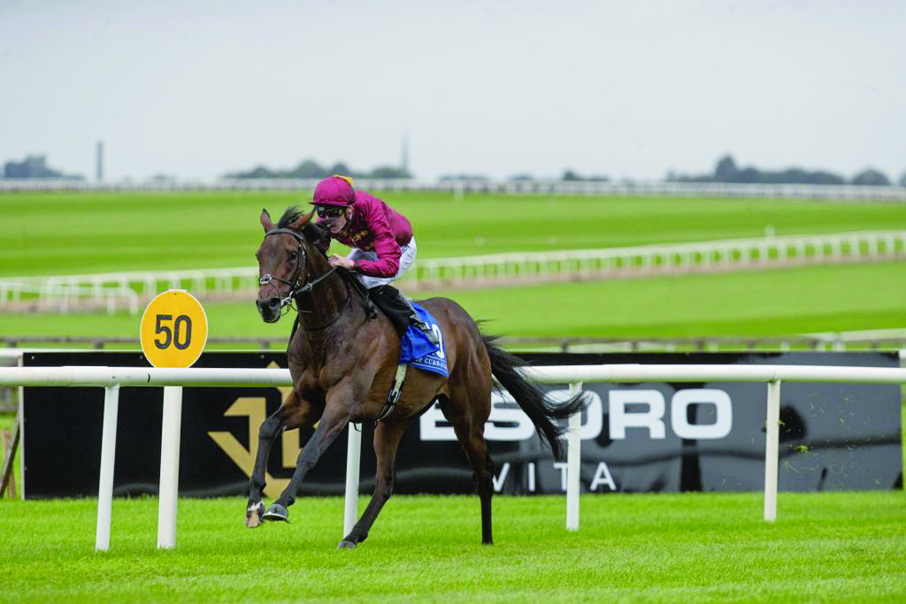 Ruling, with jockey Shane Crosse in the saddle, reaching the finish line. Pic: Racing Post