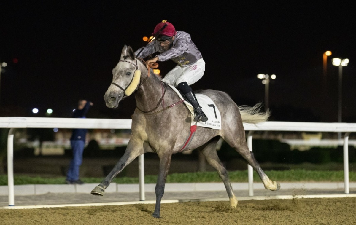 Qatari jockey Faleh Bughanaim guides Al Shaqab Racing’s Um Taj to victory in the feature race of the 25th Meeting at Al Rayyan Racecourse, yesterday.

