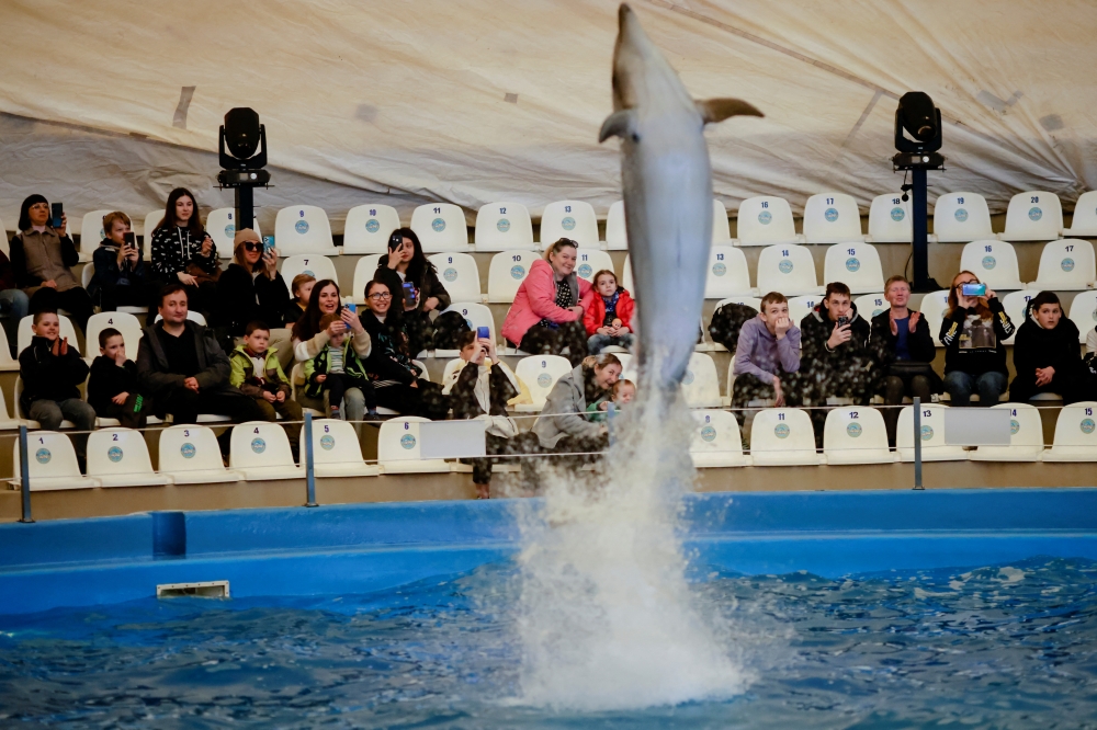 Ukrainian families, who have fled Kherson amid the Russian invasion, watch a dolphin show at a hotel, in Odesa, Ukraine April 9, 2022. Reuters/Ueslei Marcelino