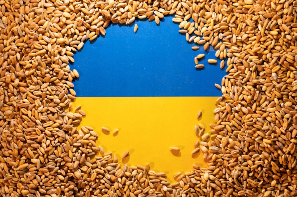 Ukrainian flag is covered with grains in this picture illustration taken May 9, 2022. REUTERS/Dado Ruvic/Illustration