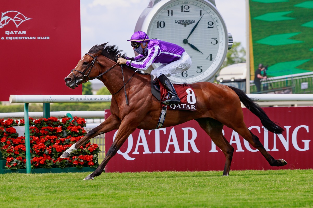 St Mark’s Basilica in action during last year's French Derby.