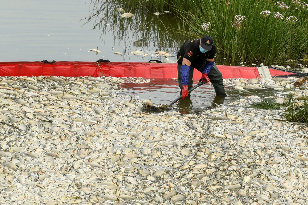 Dead fish are removed from the Oder river at a mobile catch basin, by the German border, in Krajnik Dolny, Poland, August 13, 2022. (REUTERS/Annegret Hilse)