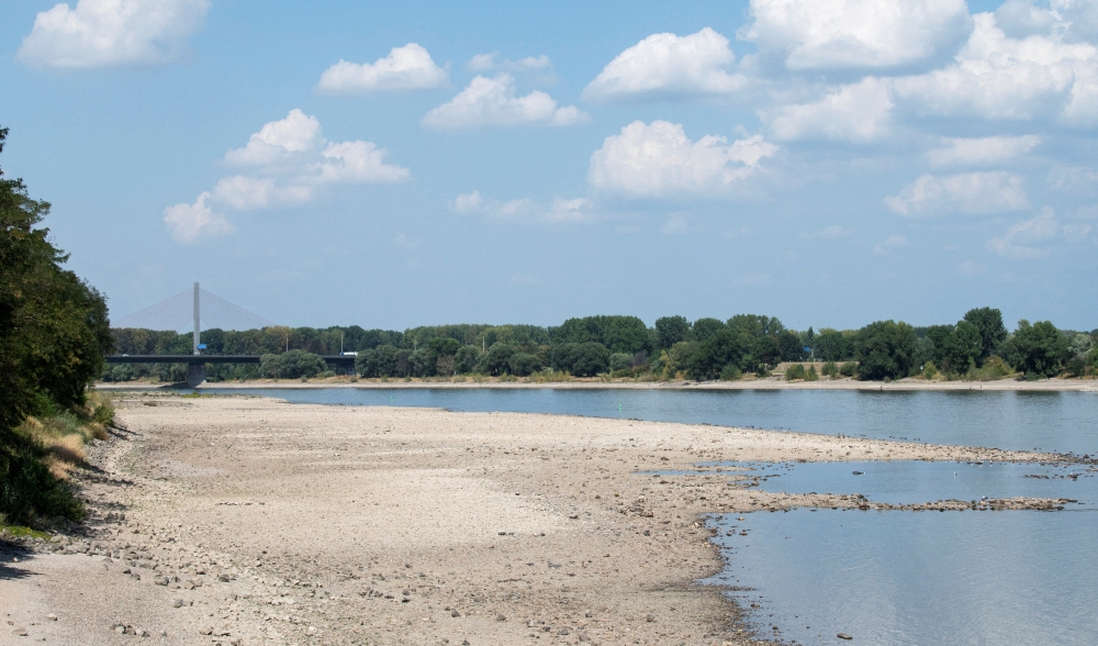 The dry banks of the Rhine river at low water levels in Bonn, Germany, August 16, 2022. REUTERS/Benjamin Westhoff/File Photo