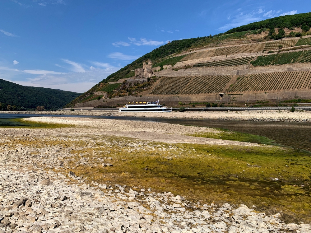 A tourist vessel cruises past the partially dried riverbed of the Rhine river in Bingen, Germany, August 17, 2022. REUTERS/Christian Kraemer/File Photo