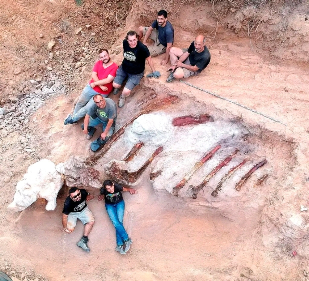 Scientists pose during a phase of the excavation works of a partial skeleton of a sauropod dinosaur at the Monte Agudo fossil site, in Pombal, Portugal in this handout taken August 2022. (Instituto Dom Luiz (Faculty of Sciences of the University of Lisbon via REUTERS) 