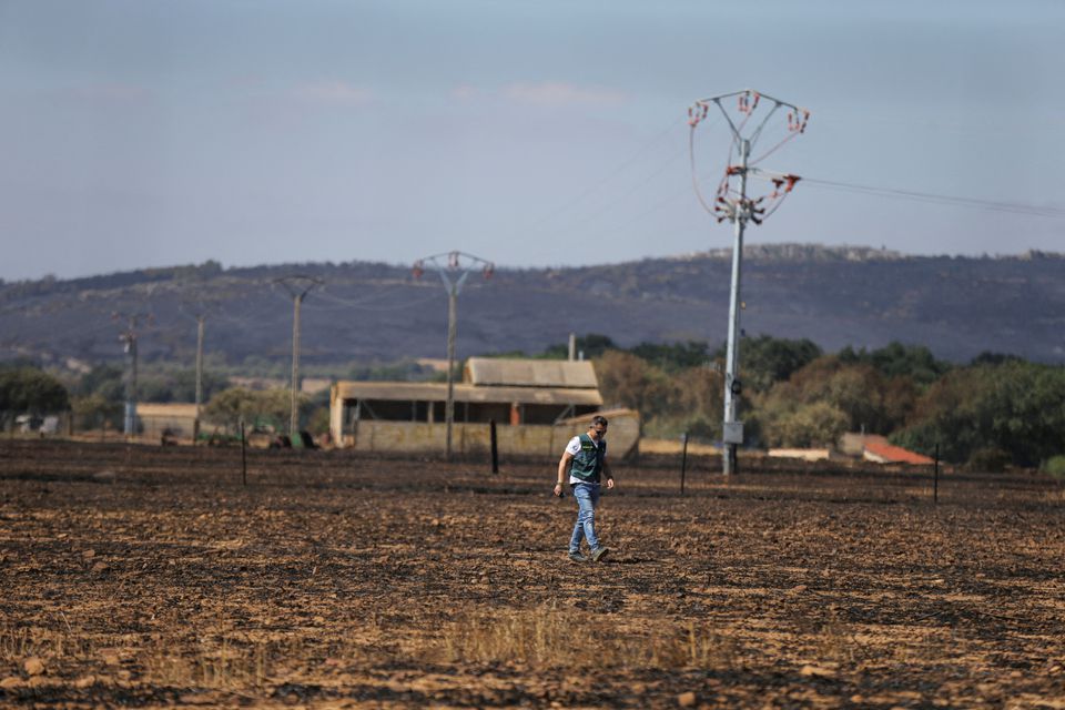 A guardia civil officer inspects the burn field where Angel Martin suffered grave burnt injuries yesterday while trying to tackle the fire on a wheat field in Tabara, Spain, July 19, 2022. REUTERS/Isabel Infantes/File Photo