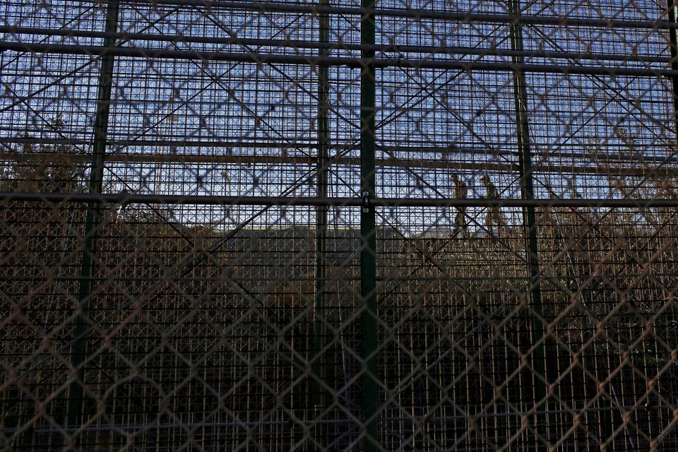 Moroccan soldiers walk on the Moroccan side of a border fence with Spain's north African enclave of Melilla, in this picture taken on the Spanish side of the fence, December 12, 2014. File Photo / Reuters