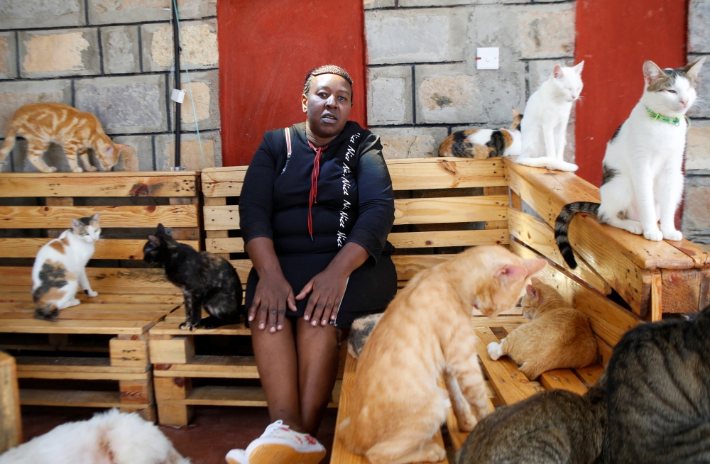 Rachael Kabue, the founder of the Nairobi Feline Sanctuary sits with the cats at the courtyard of the rescue and rehabilitation centre hosting homeless domesticated cats, in Utawala district of Nairobi, Kenya, January 12, 2023. REUTERS/Monicah Mwangi
