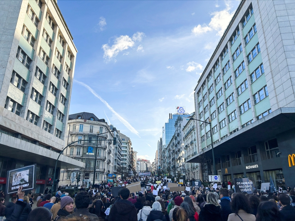 People demonstrate for animal rights in Lisbon, Portugal, on January 21, 2023. REUTERS/Catarina Demony