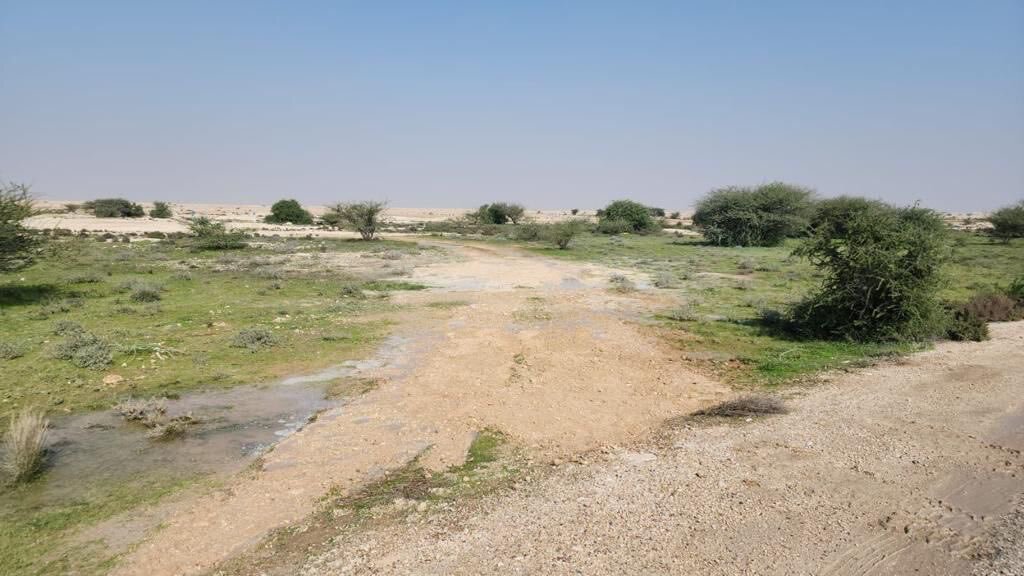 Twitter/@moecc_qatar