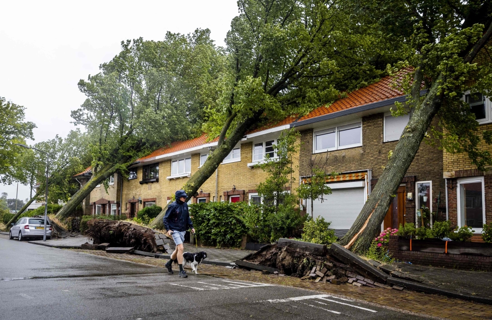 A man walk his dog by uprooted trees following a storm in Haarlem, on July 5, 2023. (Photo by Remko de Waal / ANP / AFP)