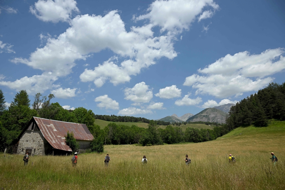 Volunteers take part in a search operation for two-and-a-half-year-old Emile who is reported missing for two days, on July 10, 2023 in the French southern Alps village of Le Vernet. Photo by NICOLAS TUCAT / AFP