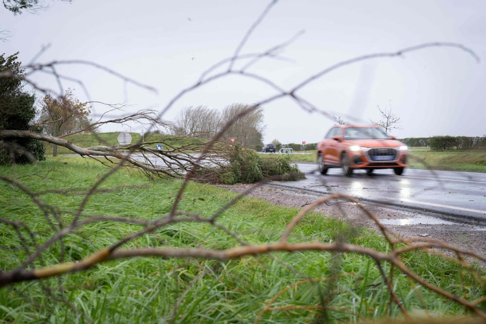This photograph taken on November 2, 2023, in Courseulles-sur-mer, western France, show a car driving past a tree that has fallen on the road. (Photo by Lou Benoist / AFP)