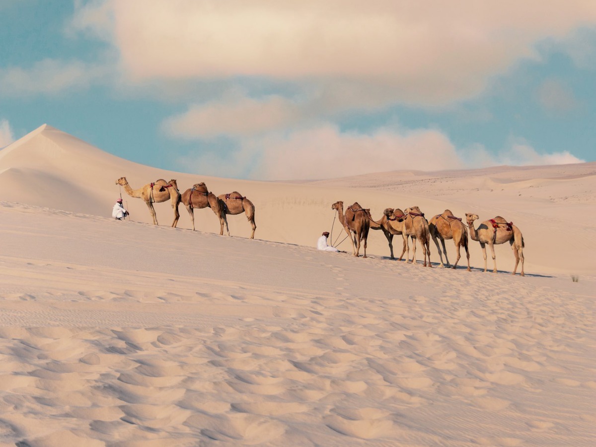 File photo used for representation only 