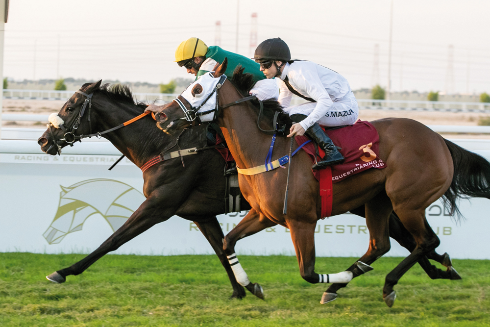 Miracle Nation takes lead against Cathy Come Home during yesterday's feature. PIC: Juhaim/QREC