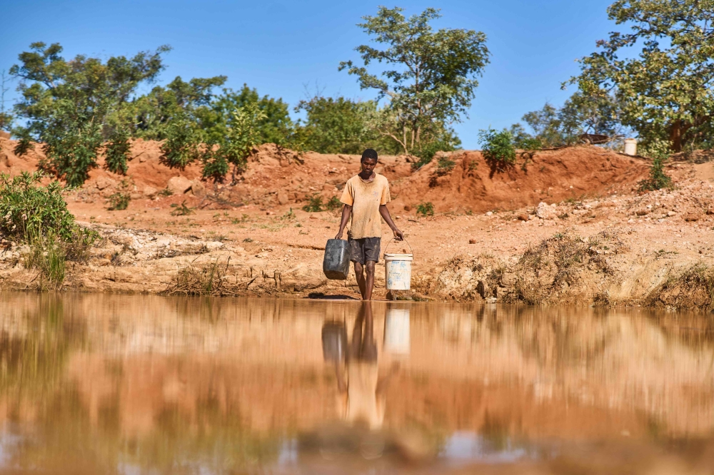 A man fetches water from a pond to water his calves in Matobo, Matabeleland, on May 10, 2024. Photo by Zinyange Auntony / AFP