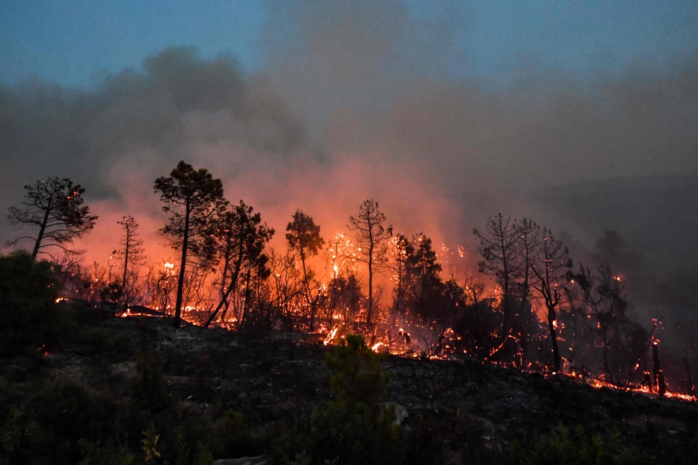 File photo of wildfires in Algeria / AFP