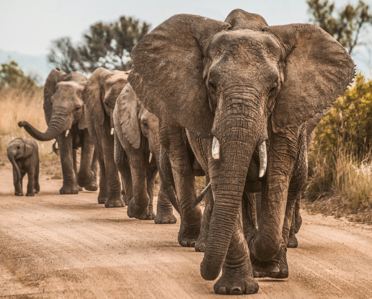 Photo for representational purposes only 