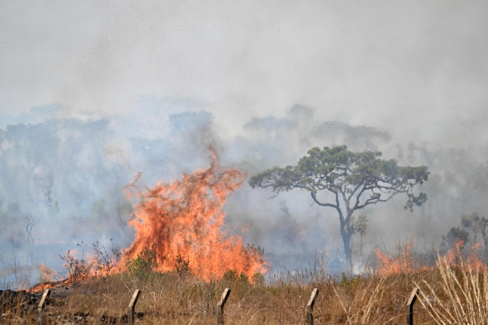 Smoke and flames arise from a forest fire affecting the Brasilia National Park in Brasilia on September 16, 2024. Photo by EVARISTO SA / AFP