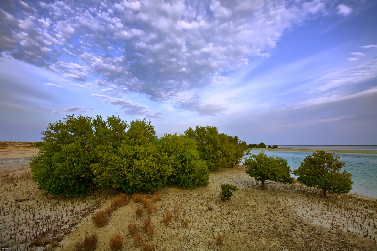 Peninsula