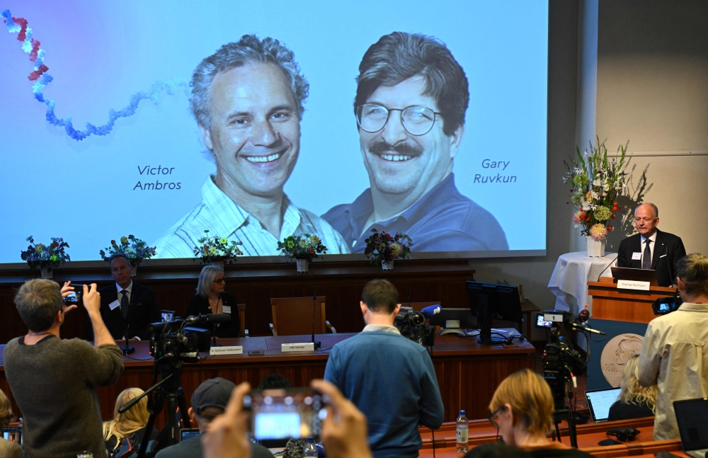 Olle Kaempe, member of the Nobel Assembly, speaks to the media in front of screen displaying a picture of this year's laureates Victor Ambros and Gary Ruvkum. (Photo by Jonathan Nackstrand / AFP)