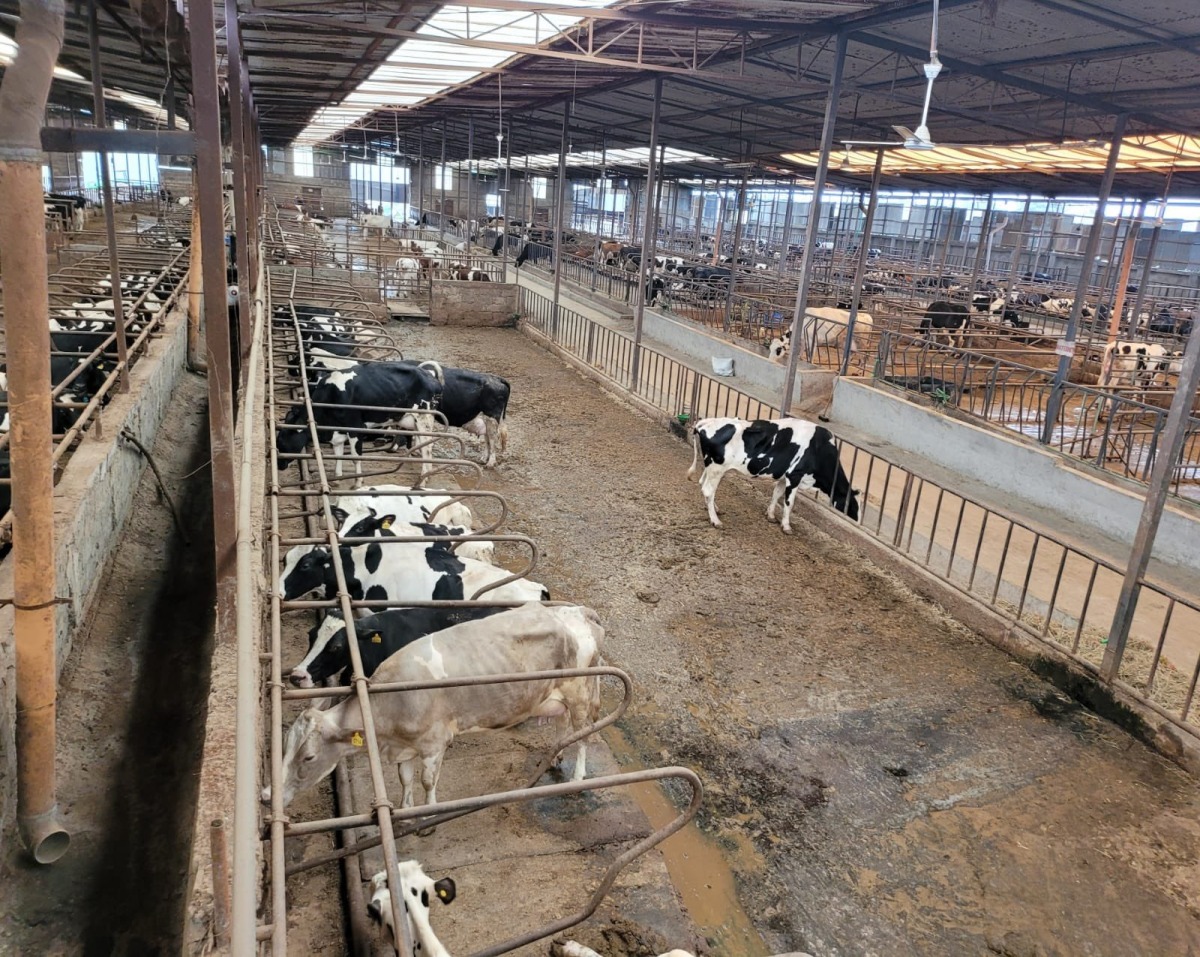 Photo for representational purposes only. Pic by @ledamalekina on X
