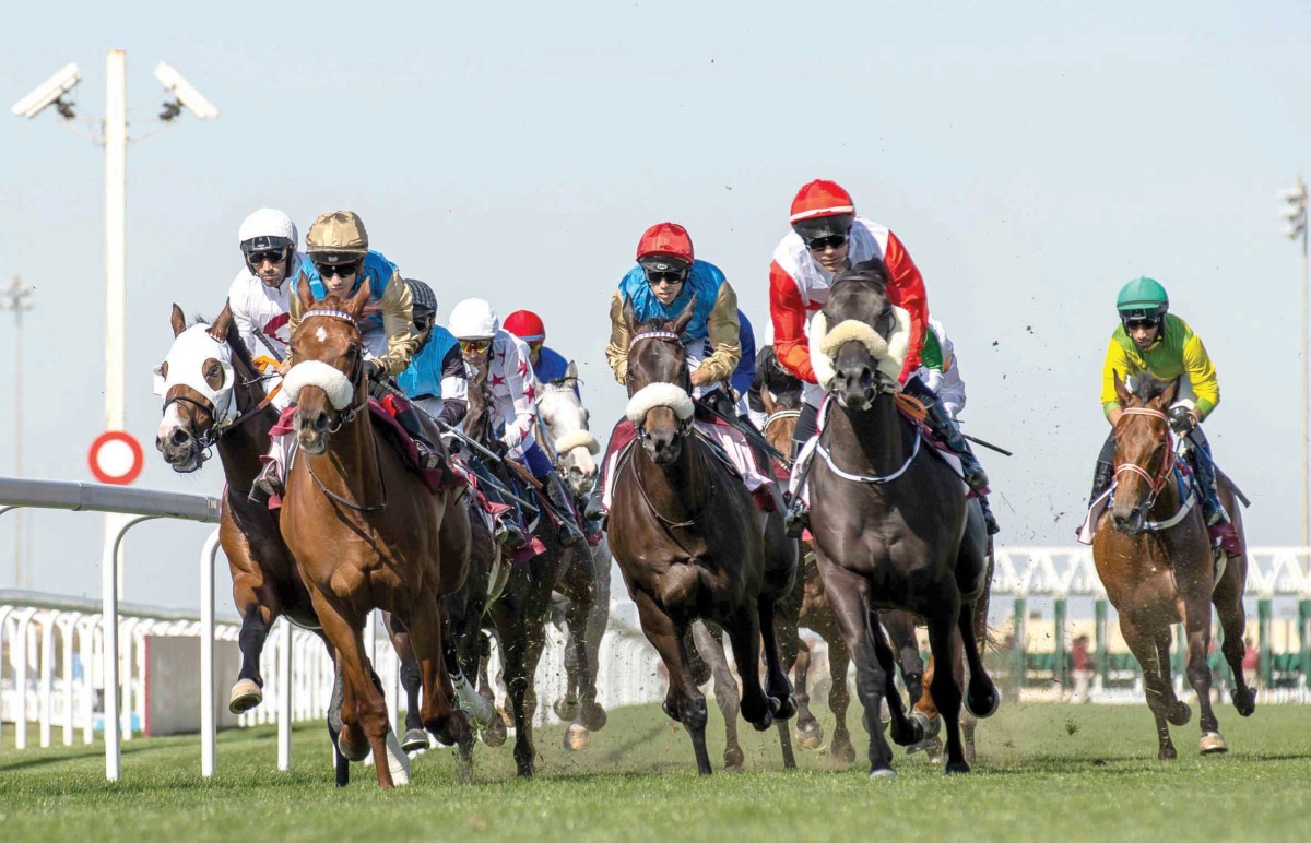 Action will begin with 40th Al Rayyan Meeting today.