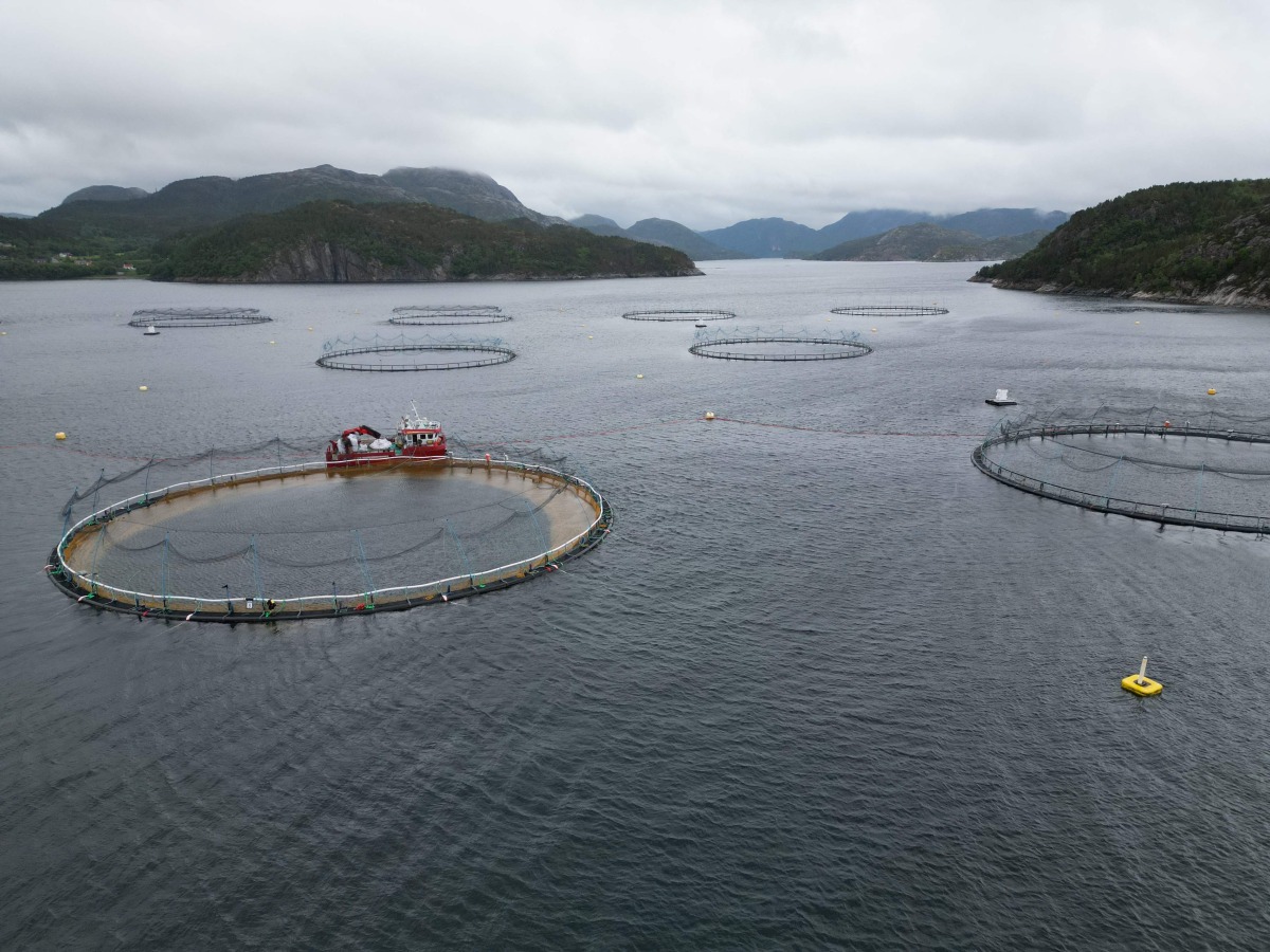 This Aerial view shows a salmon farm in Trondheimsfjord on June 19, 2025 in Trondheim, Norway. Photo by Jonathan KLEIN / AFP