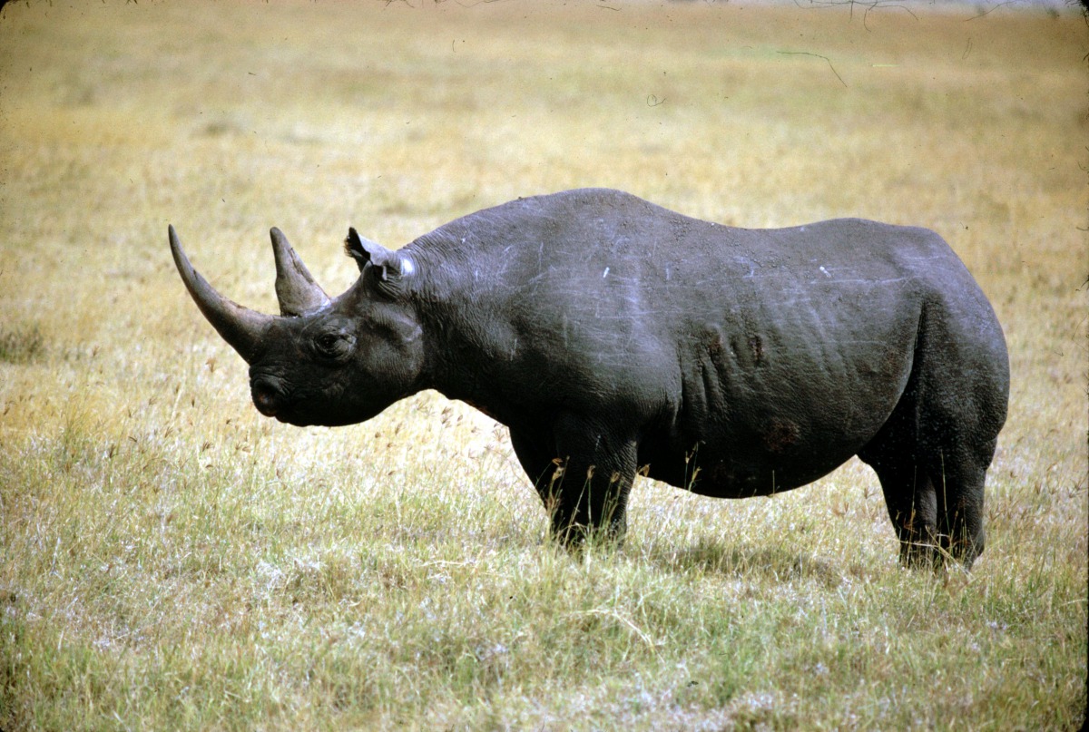 Representational file photo.