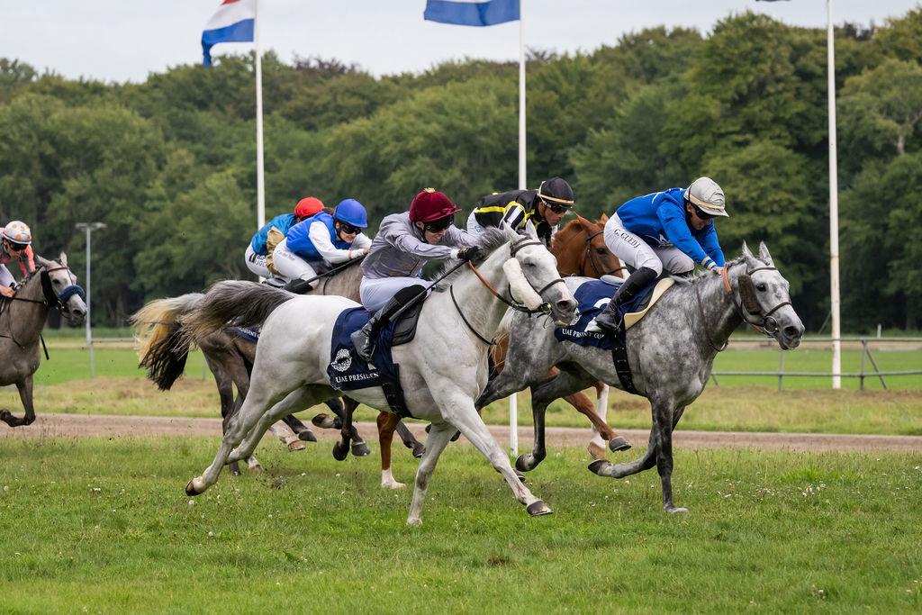 Al Shaqab Racing's Afjan (foreground) competes during the UAE President Cup at Duindigt.