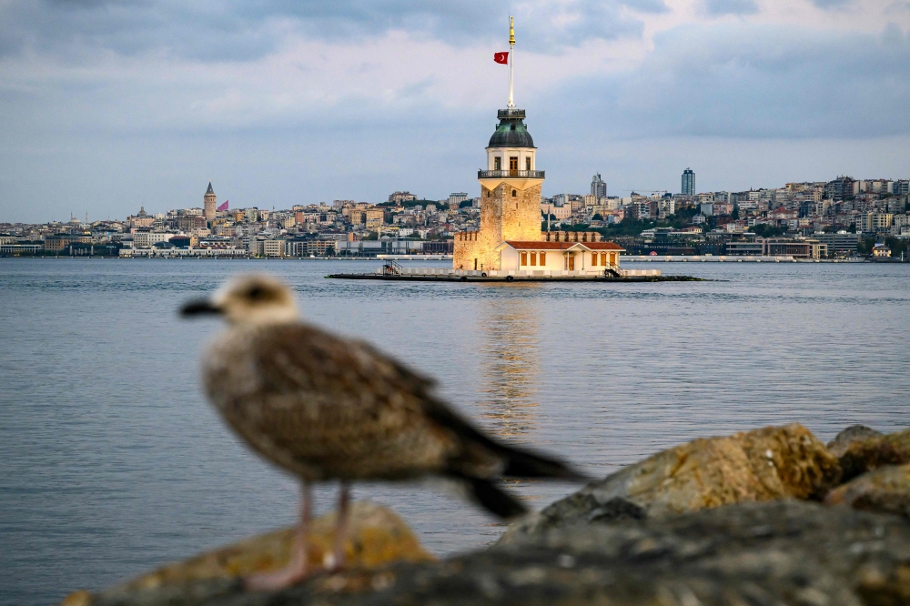A seagull stands on a rock in front of the Maiden's Tower at sunrise in Istanbul on August 9, 2025. (Photo by Yasin Akgul / AFP)