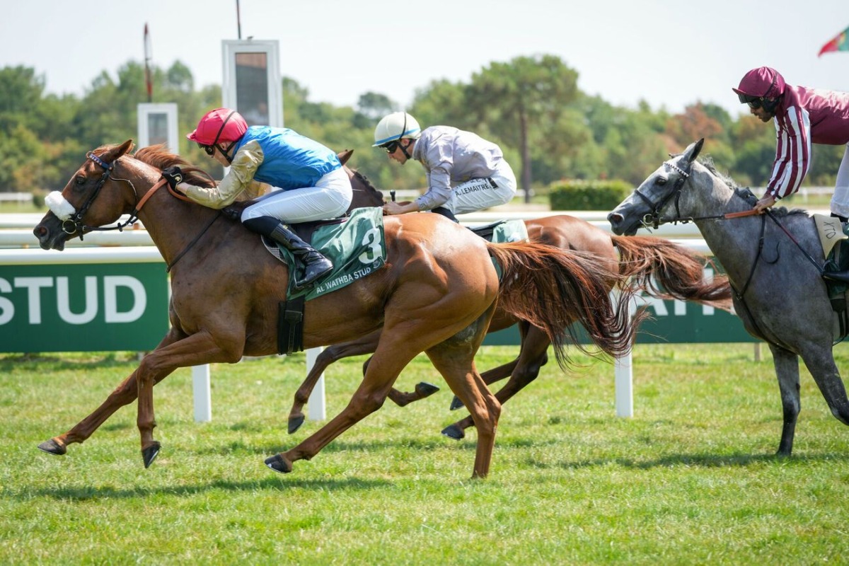 RB Mary Lylah (front) with Olivier d’Andigne in the saddle race to the finish line. 
