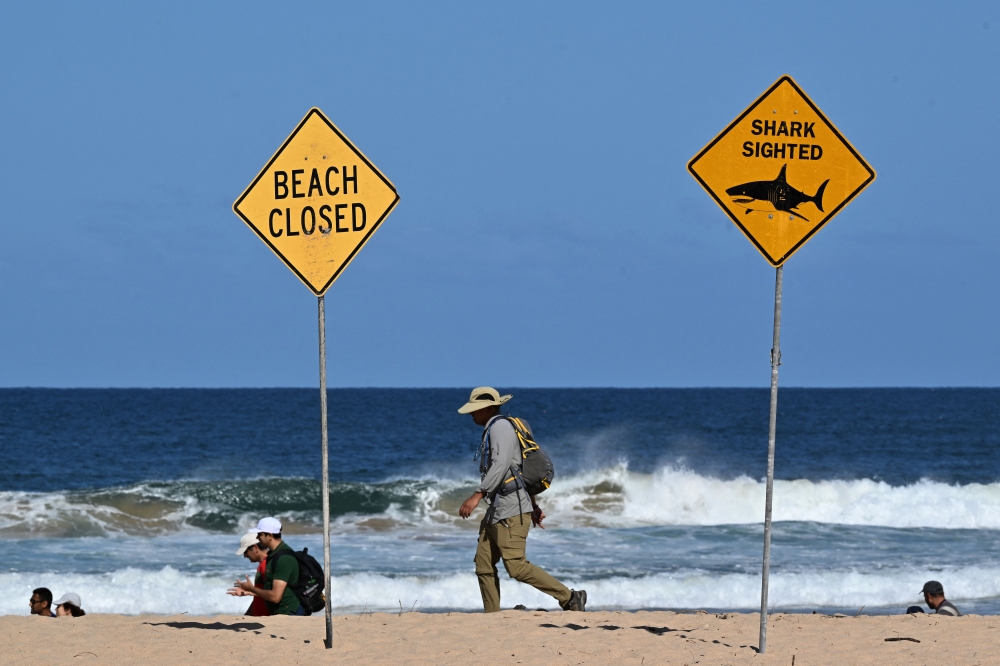 Residents walks along the shoreline as northern Sydney beaches are closed following a shark attack at Long Reef Beach on September 6, 2025. (Photo by Saeed Khand / AFP)