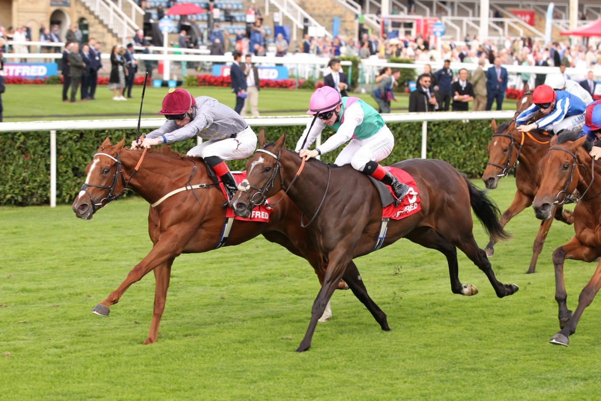 Aylin, with David Egan in the saddle, competes in the race. PIC: Steve Davies